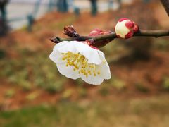 -南京市无想山景区
