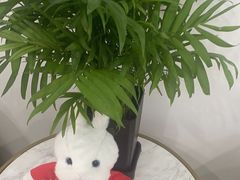 -雅仕康口腔