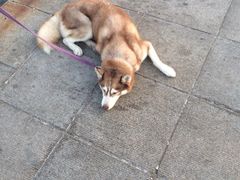 iphone_upload_pic-蟹之国·精品蟹料理(极地店)