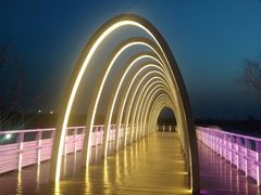 -大兴滨河森林公园