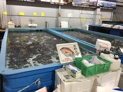 -海鮮寿司とれとれ市場