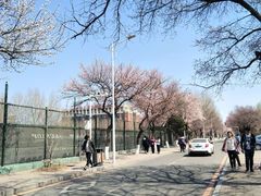 -吉林大学(南岭校区)