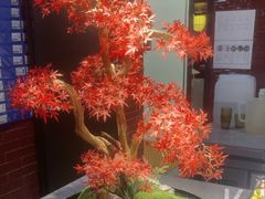 -芝小官毛肚火锅海鲜自助(淮安清江浦区新亚店)