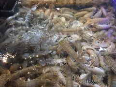 -盒马鲜生(红莲店)