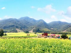 -新建村梅花