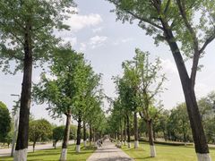 -重庆中央公园(渝北区)