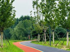 -永定河休闲森林公园