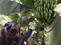 -万源龙顺度假庄园生态观光园