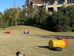 -上海崇明金茂凯悦酒店