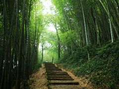 -西湖风景区十里琅珰-五云山