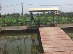 -同銮特种养殖场·龙虾垂钓