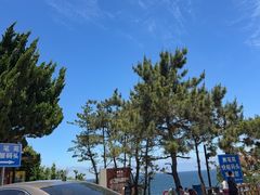 -养马岛旅游度假区