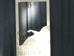 -南京书画院金陵美术馆
