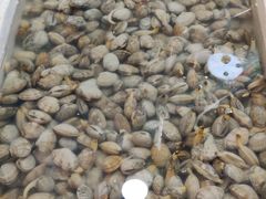 -青石桥市场北1-27号