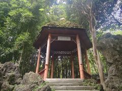 -望江楼公园