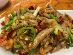 -双福饺子营餐厅(财富广场店)