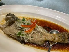 -宝燕壹号(徐汇店)