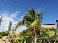 -亚马逊丛林水乐园