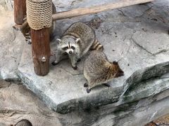 -灵玲国际马戏城
