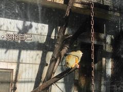 -昆明动物园