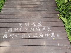 -艾溪湖湿地公园