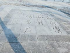 -大兴滨河森林公园