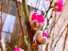 -大宁灵石公园西门票处