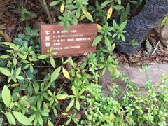 -苏州湾王焰温泉度假酒店