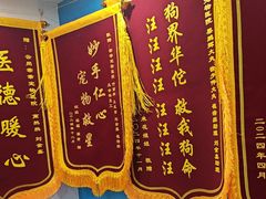 -乖乖宠物医院·猫科·骨科·24小时(云岗分院)