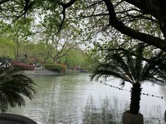 -星巴克(西湖天地店)