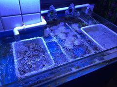 -路边摊小炉子烧烤