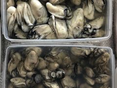 -张家卫·阳江菜·小海鲜(肥婆湾桥店)
