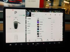 -TESLA 特斯拉(郑州正弘城体验店)