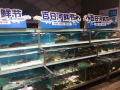 -盒马鲜生(莱蒙都会店)