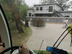 -北京麋鹿生态实验中心