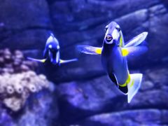 -成都浩海立方海洋公园