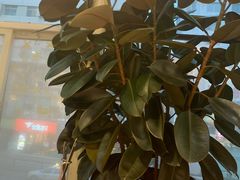 -惠友大虾(太原北街店)