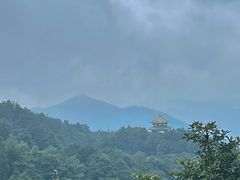 -梧桐山风景名胜区