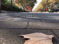 -东华大学(松江校区)