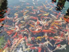 -宁波杭州湾国家湿地公园