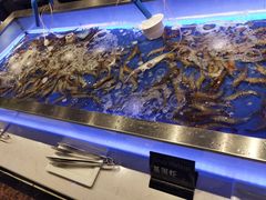 水产区-SEA西雅图海鲜自助餐厅(正义店)
