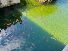 -重元寺香积厨素斋馆