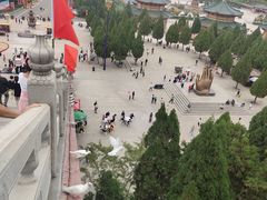 -龙口南山旅游景区