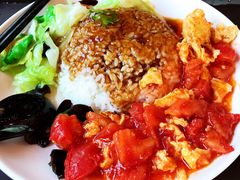 番茄鸡蛋饭-田老师红烧肉老家肉饼(东单店)