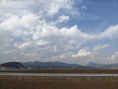 -敕勒川草原