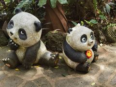-海南热带野生动植物园