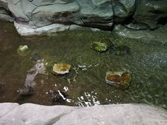 -杭州长乔极地海洋公园