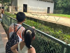 -合肥野生动物园