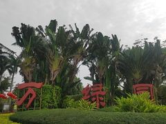 -万绿园