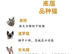-電力宠物公司(武定路店)